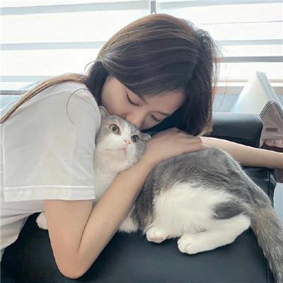 但愿人长久电影版